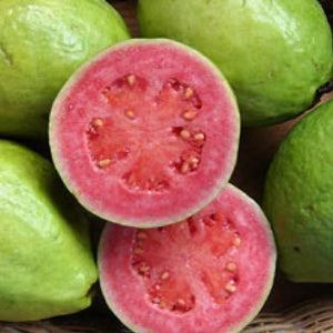ENHORABUENA - Artisanal Guava Stick Cookies - made with Real Guava by Enhorabuena Dulzura in Puerto Rico - 6.6 Oz Bag
